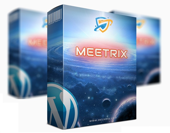 Meetrix Theme Review
