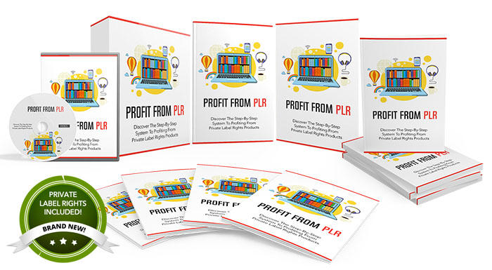 Profit From PLR Review