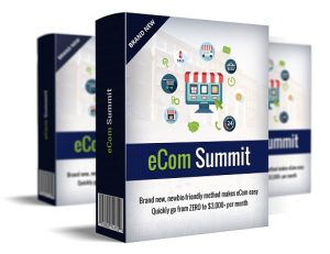 eCom Summit Review