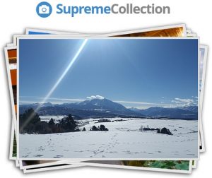 Supreme Collection Review