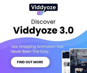 Viddyoze 3.0 Review