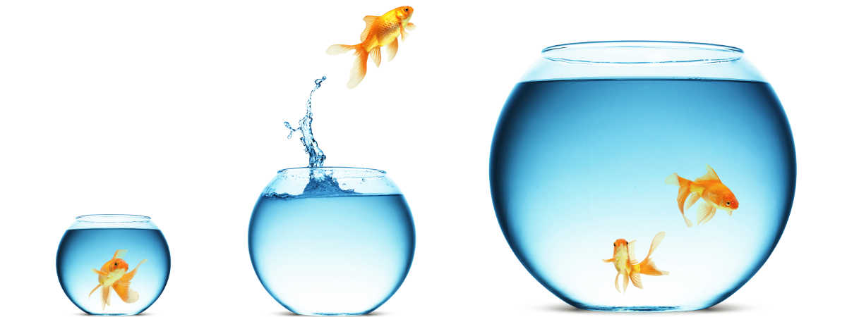 Start Small Think Big