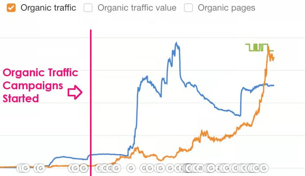 Ampcast Ai Case Study: Fine Wines – 1,100% Growth with $0 Ad Spend